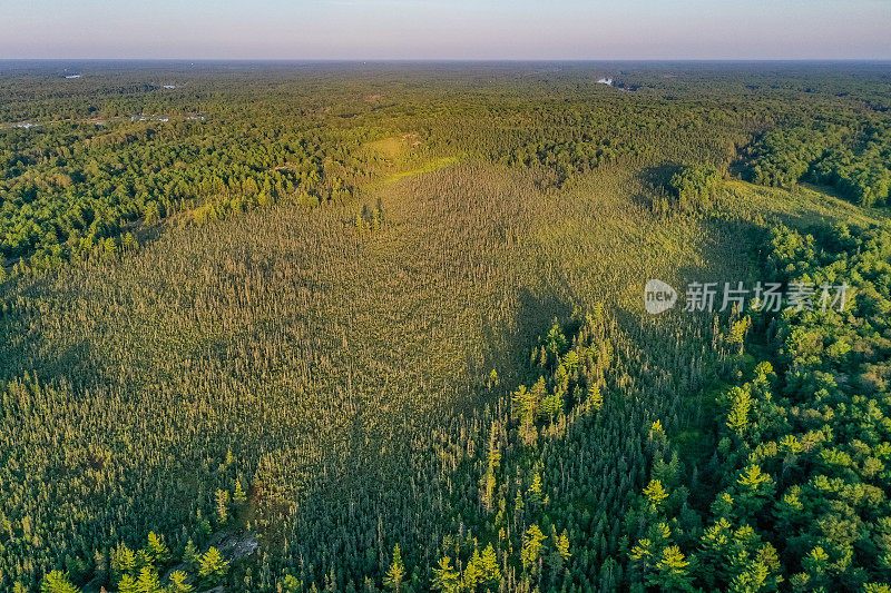 黄昏时的Muskoka Torrance Barrens Dark-Sky保护区，Gravenhurst，加拿大